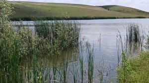 Рыбалка с рогаткой 2023.охота на амура в июне!!!