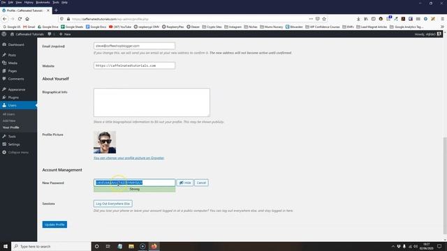 How to Change Your WordPress Password in 2020 смотреть онлайн