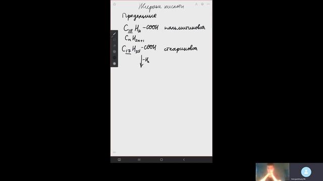 Как запомнить жирные кислоты (длинные кислоты в составе жиров) смотреть онлайн