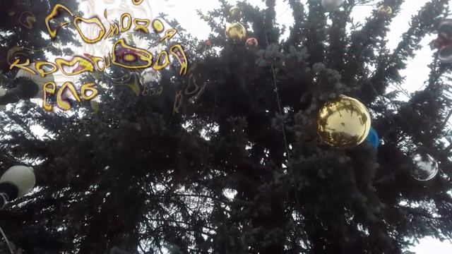 20220109 140213 Самая красивая ель смотреть онлайн