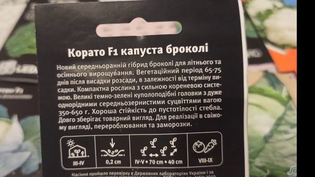 Огляд насіння капусти.@Буду сіяти  ранню,цвітну,брокколі,пізню капусту і червоноголову.