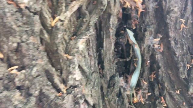 Рыбалка в краснодарском крае 2021 смотреть онлайн