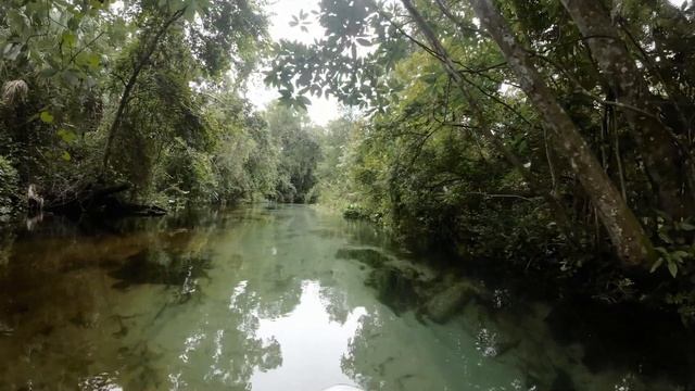 Overcast Odyssey: Solo Paddle at King Landing's Emerald Cut смотреть онлайн