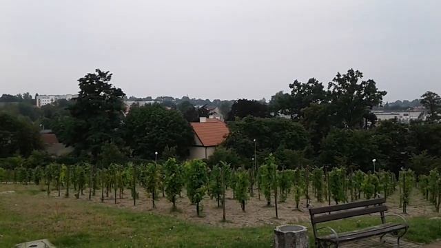 Зелена Гура, Польша, Zielona Gora, Polen