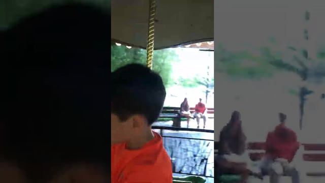 Mary go around at the Dallas Zoo Aug2021 смотреть онлайн