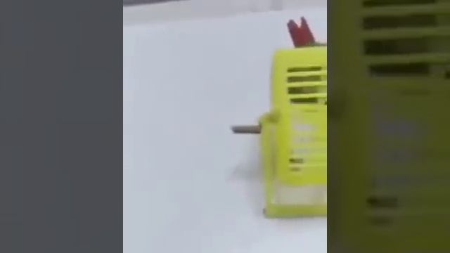 #yhприколы2021 Vay Попугай засовывает хомяка в колесо и крутит. Приколы 2021, лучшие русские. смотреть онлайн