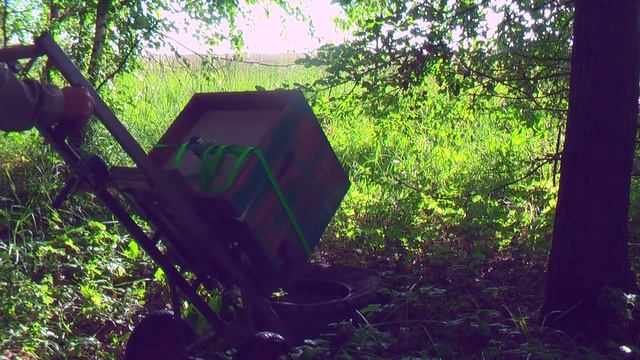 Вывоз пчёл на кочевку. Пасека Сергея Буторина. 27 июня 2020г. 22 выпуск смотреть онлайн