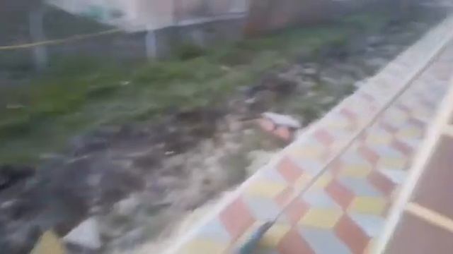 3D тротуарная плитка укладка тротуарной плитки вибро укладка тротуарной плитки смотреть онлайн