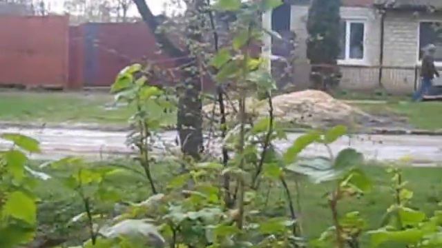 Весна  идёт