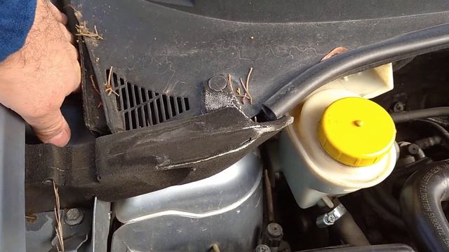 Ağaç Altına Sürekli Park Edenler Dikkat !!! (Araç Su Giderleri Tıkanabilir.)