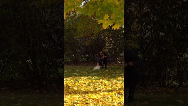 Как приучить щенка к вольеру или манежу 6 смотреть онлайн