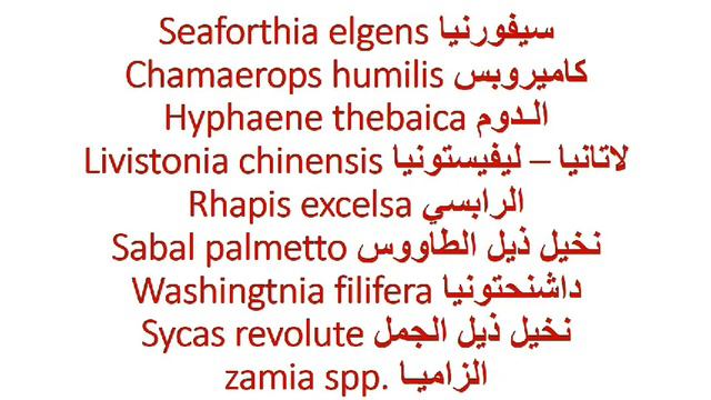 موسوعة العلمية لنباتات الزينة الجزء الأول حلقة ٤٣٩ смотреть онлайн