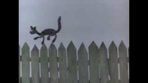 Сергей Прокофьев _Петя и волк_. Краткие темы из симфонической сказки.