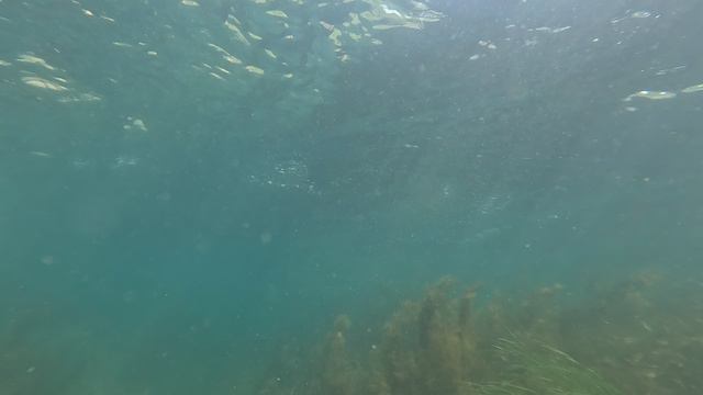 Сахалин смотреть онлайн