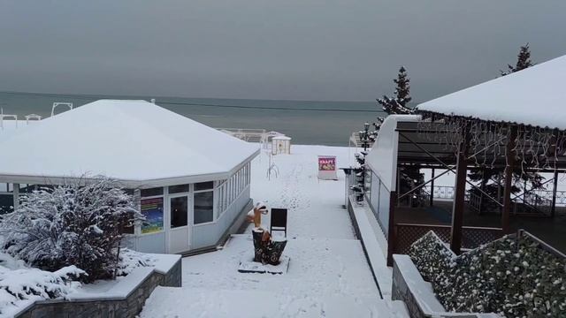 Зимы у моря.Приморск 2023. смотреть онлайн