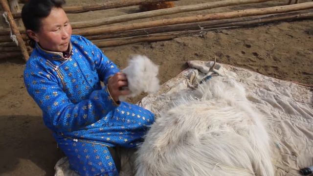 Mongolian Cashmere  Yamaa Samnah