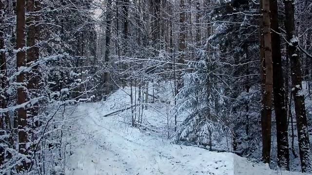 Krasnolesye_KBT_12_2012 смотреть онлайн