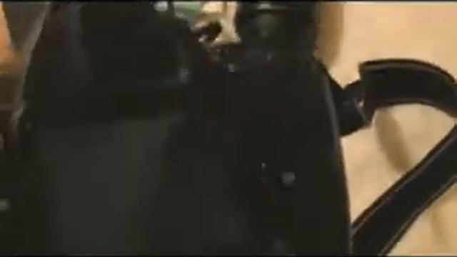 Nikon D40 kit for sale смотреть онлайн