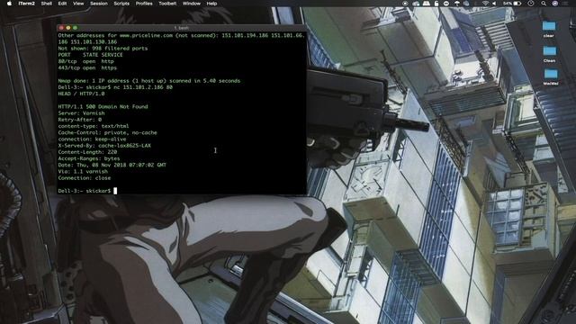 Use Netcat to Spawn Reverse Shells & Connect to Other Computers [Tutorial] смотреть онлайн