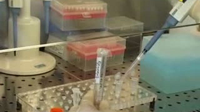Трансгенизация. Генетическая бомба. Часть 2 смотреть онлайн