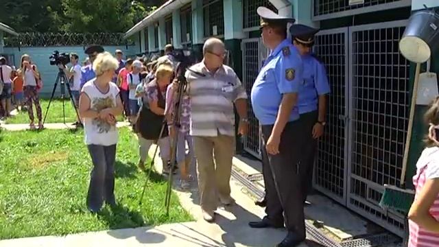 Акция в питомнике собак Гомельского областного управления охраны смотреть онлайн