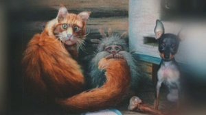 «Аудио  дневник Домового 4 часть ,,