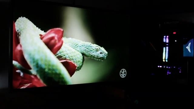 ASUS TUF Gaming VG27AQ : Monitor Gaming G-Sync Termurah, Banyak Fitur Seru!! смотреть онлайн