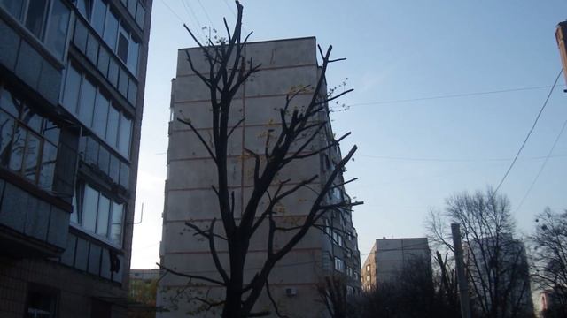 Улица Петра Болбочана(Клапцова ) Харьков апрель 2020 смотреть онлайн