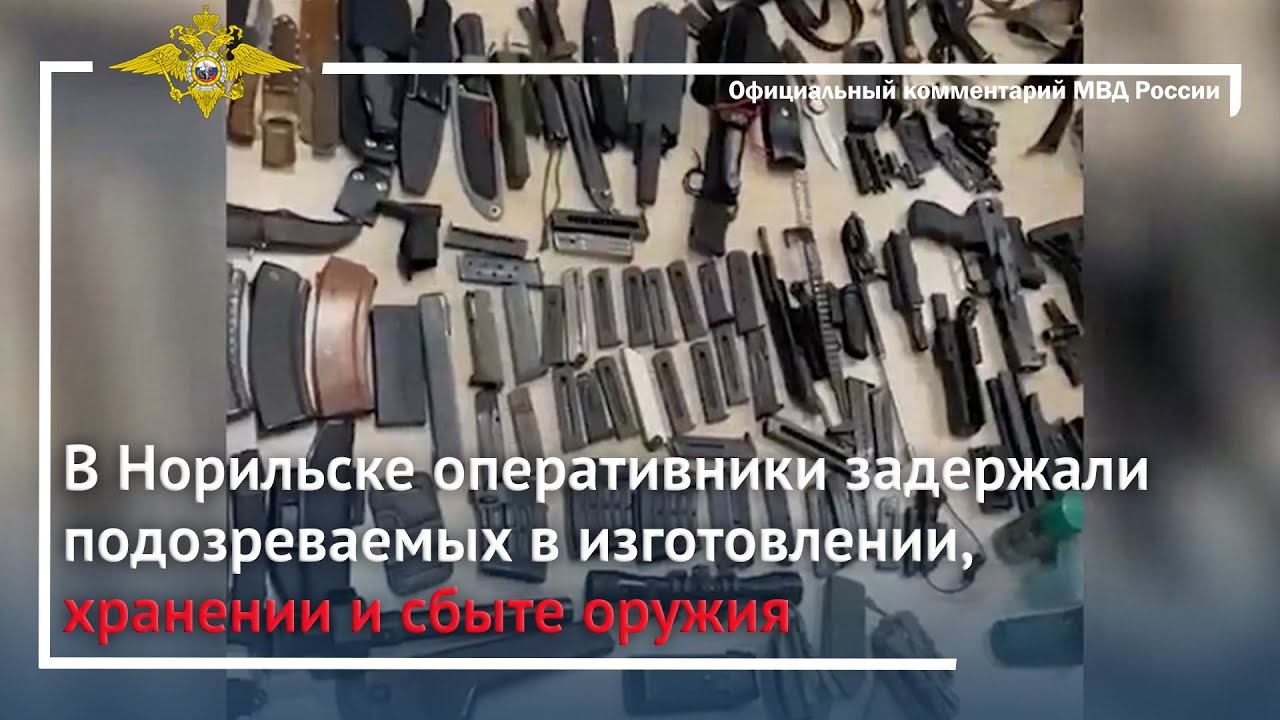 Ирина Волк: В Норильске оперативники задержали подозреваемых в изготовлении, хранении и сбыте оружия смотреть онлайн