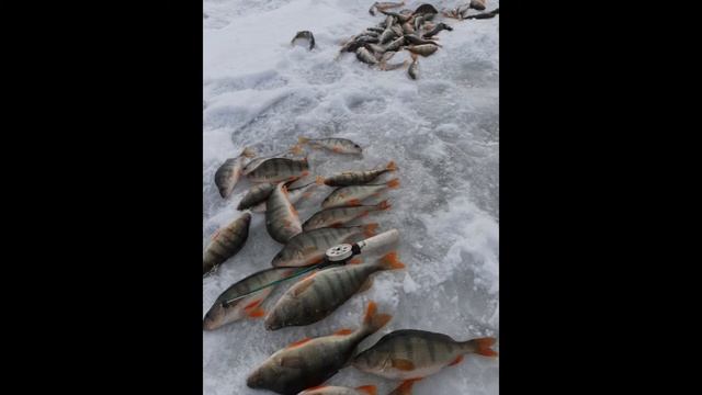 АЙДЫКУЛЬ ВОСПОМИНАНИЯ 2020 год!!! смотреть онлайн