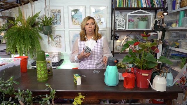 Можно ли заменить хлореллу? водоросли для растений смотреть онлайн