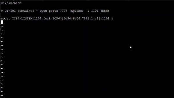 Socat: Configure Linux Server to Act as TCP IP Port Forwarder (IPv4 to IPv6)