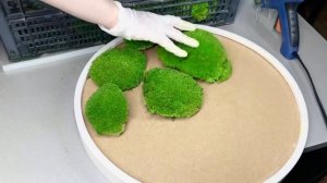 Мастер-класс по изготовлению Панно из стабилизированного Мха