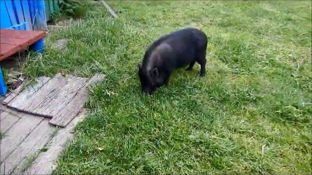 Отпуск май 2017г.  Москва - Украина - Новороссийск.