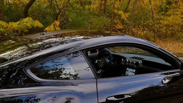 2016 Shelby GT350R || SOLD смотреть онлайн