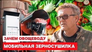 Зачем овощеводу зерносушилка Fratelli Pedrotti Super 200. Честный отзыв.