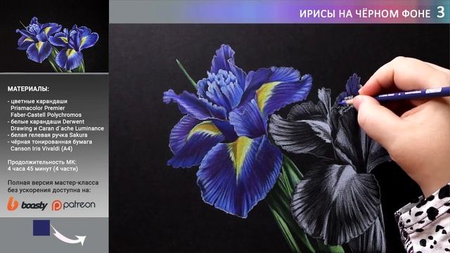 Как нарисовать цветы на чёрной бумаге цветными карандашами ✎ Рисуем ирисы ? Таймлапс смотреть онлайн