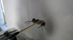 Как установить подрозетники в стены из газобетона