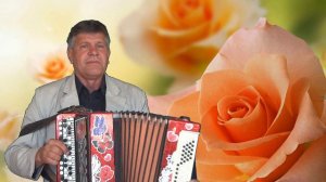 Песня-чёрная роза.