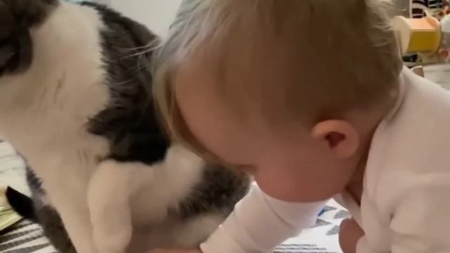 Baby And Cat Fun And Cute- Funny Baby Video-Baby Playing With CAts