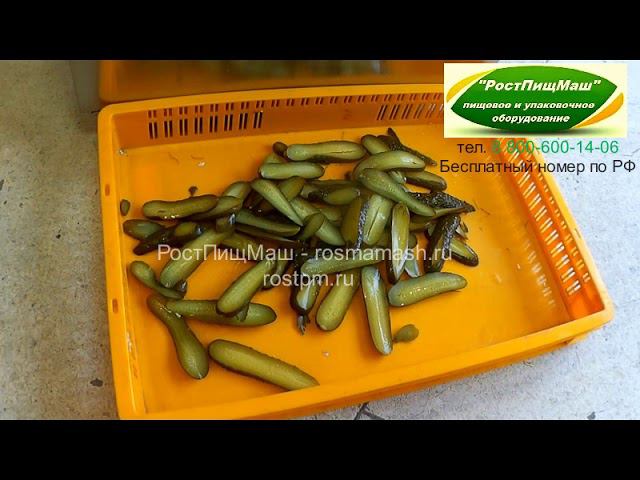 Слайсер R26 нарезка огурца от РостПищМаш смотреть онлайн