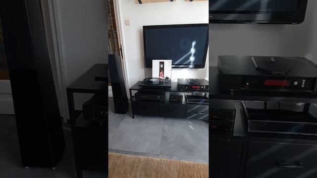 Rega Saturn-r, Rega Aethos, Totem Tribe Towers. The Dead South.
