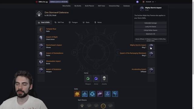 Полный гайд по друиду