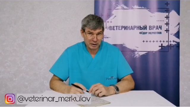 МАСТИТЫ// Воспаление молочной железы смотреть онлайн