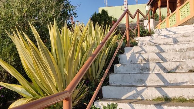 Школа Раджа Йоги. Гьян Саровар 13 смотреть онлайн