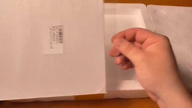 Защитное стекло и стилус для Samsung N8000- Посылка № 36 смотреть онлайн