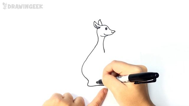 How to draw a Kangaroo | Kangaroo Easy Draw Tutorial смотреть онлайн