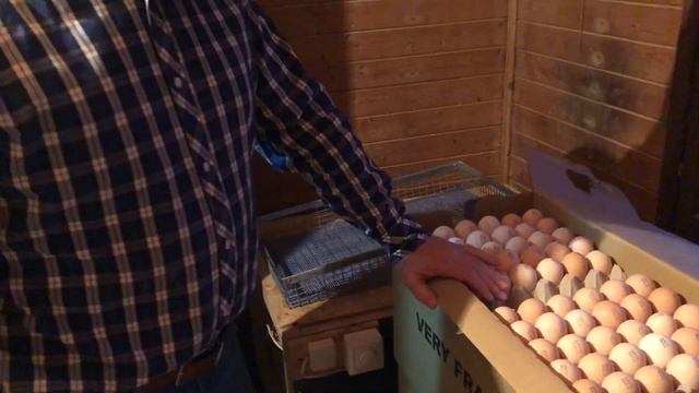 ПРИ КАКОЙ ТЕМПЕРАТУРЕ ХРАНИТЬ ИНКУБАЦИОННЫЕ ЯЙЦА? смотреть онлайн