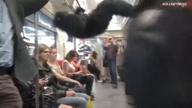 Прикольный розыгрыш человека в костюме гориллы смотреть онлайн