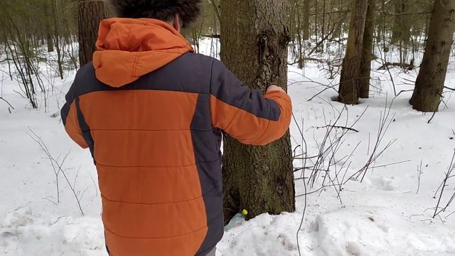Установка КВ антенны на 80 м в лесу. смотреть онлайн